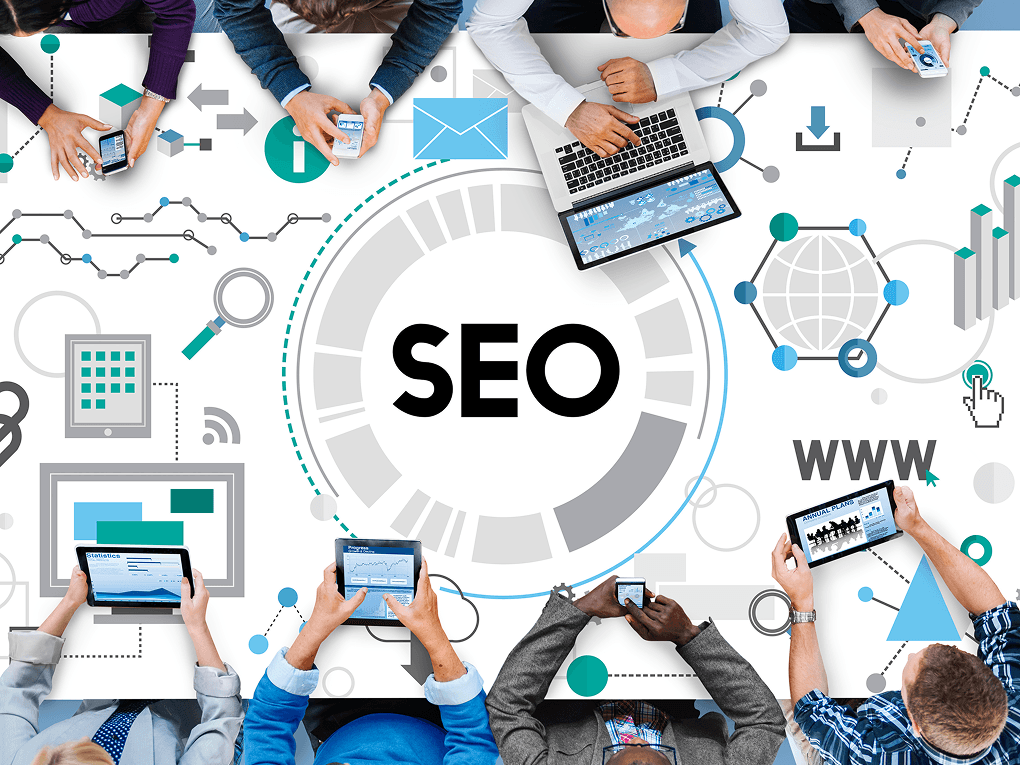 SEO Optimization